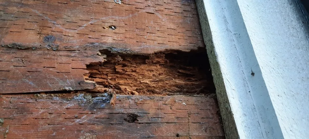 Top-rated storm damage roof repair for homes in Roy, WA by Kennie Stroderd Construction