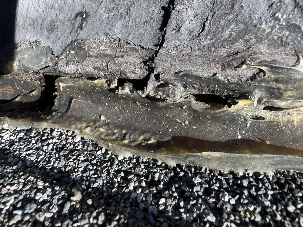 Slide of Kenny Company