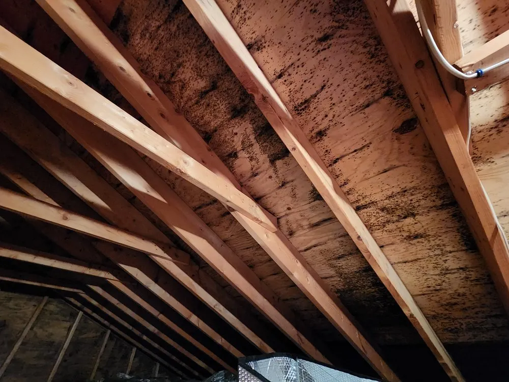 Slide of Kenny Nukes Roofing and Construction