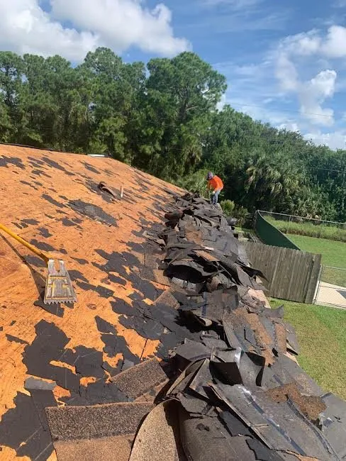 Slide of Kennys Roof