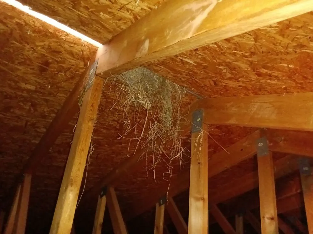 Slide of Kent Elliott Roofing