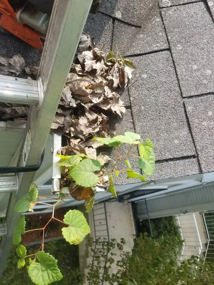 Slide of Key Choice Restore