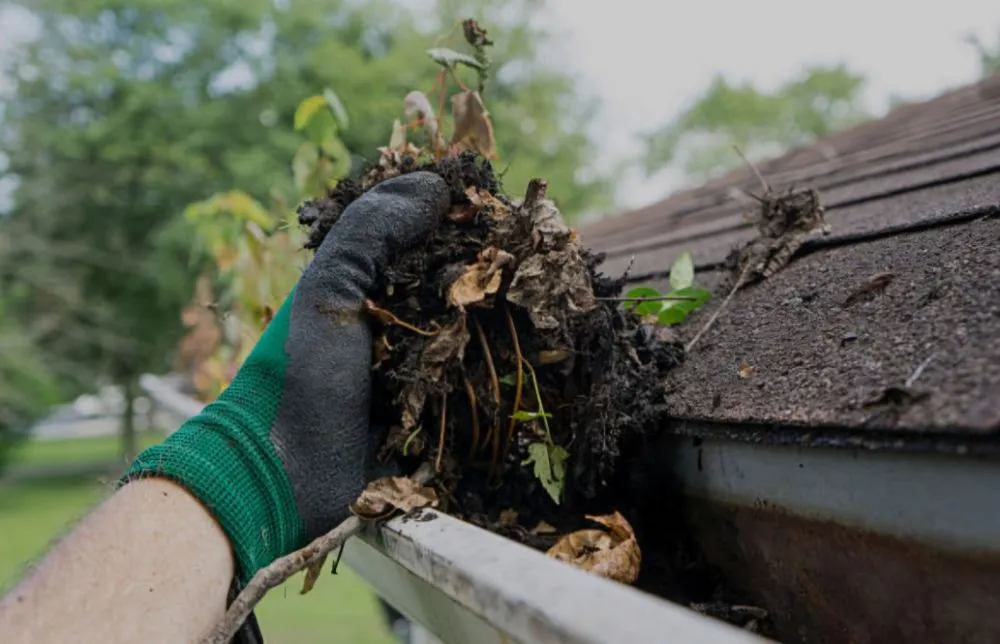 Slide of KF Home Improvement