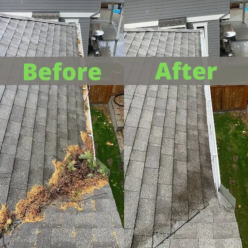 Slide of KG Pristine Solar Cleaning