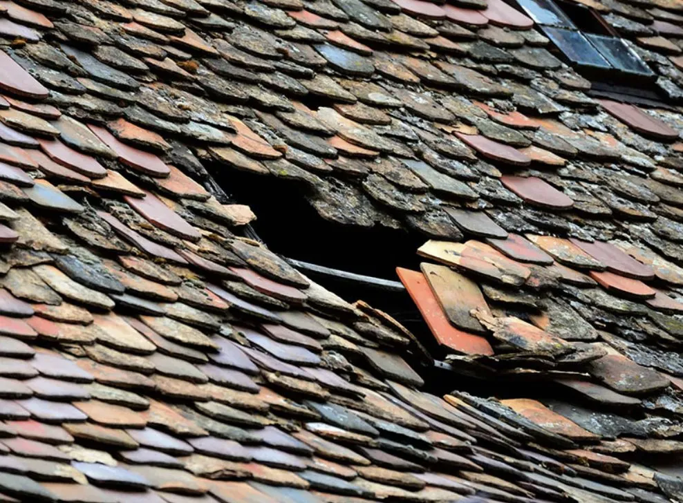 Slide of King Construction USA