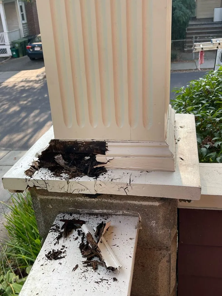 Slide of King of Remodeling