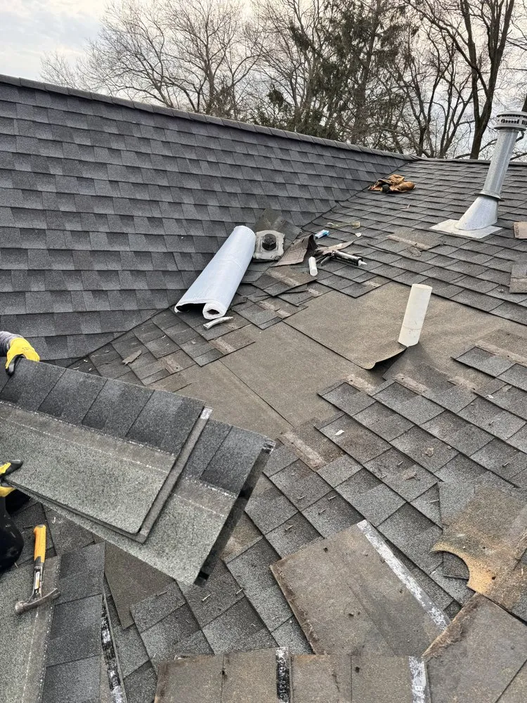 Slide of King Quality 2