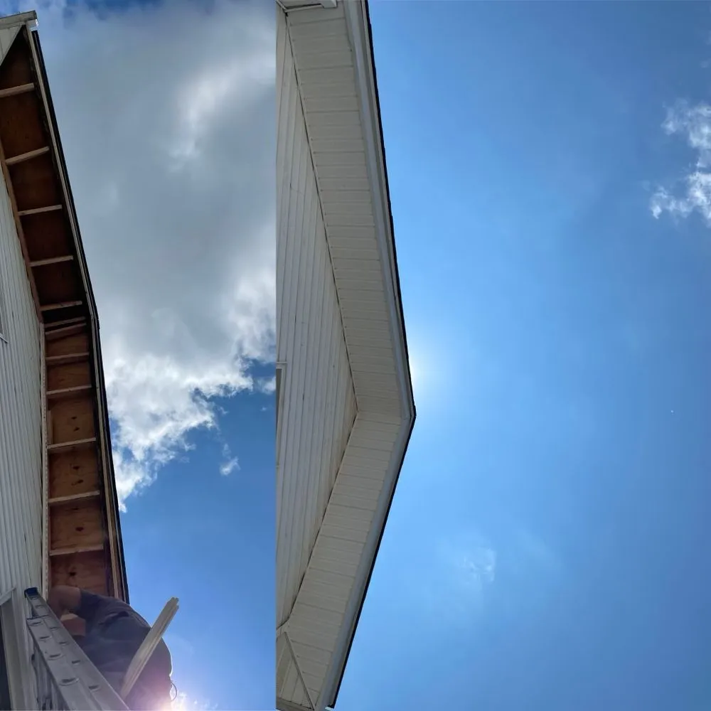 Slide of King Quality 2