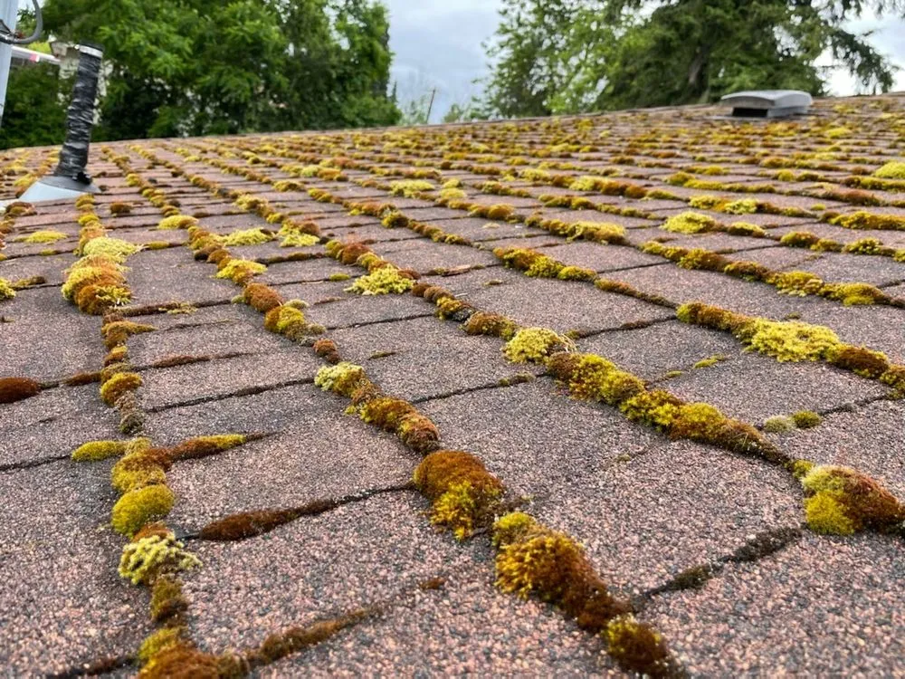 Slide of King Roof care