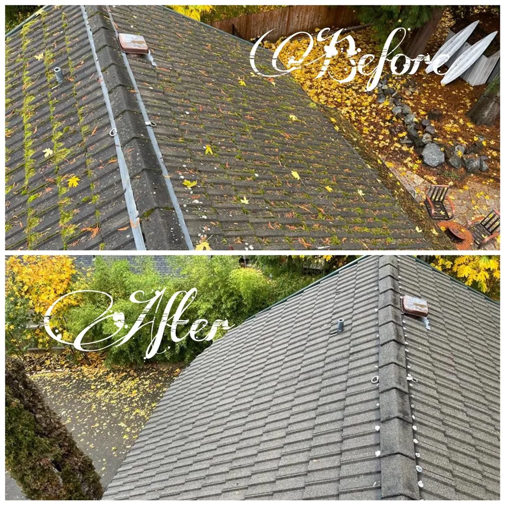Slide of King Roof care