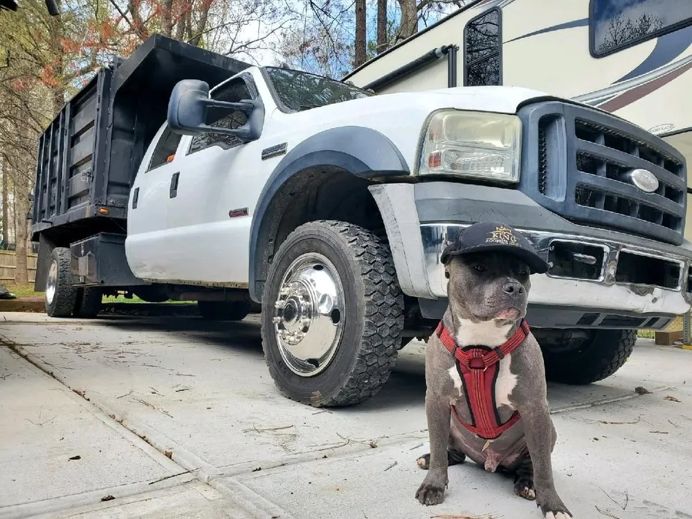 Slide of King Roofing Pros