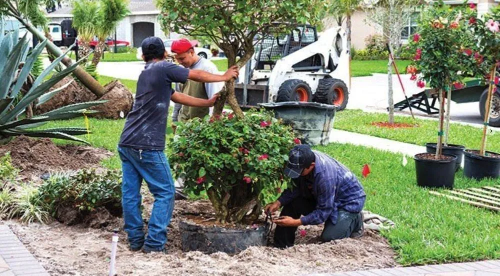 Slide of Kings Crest Construction
