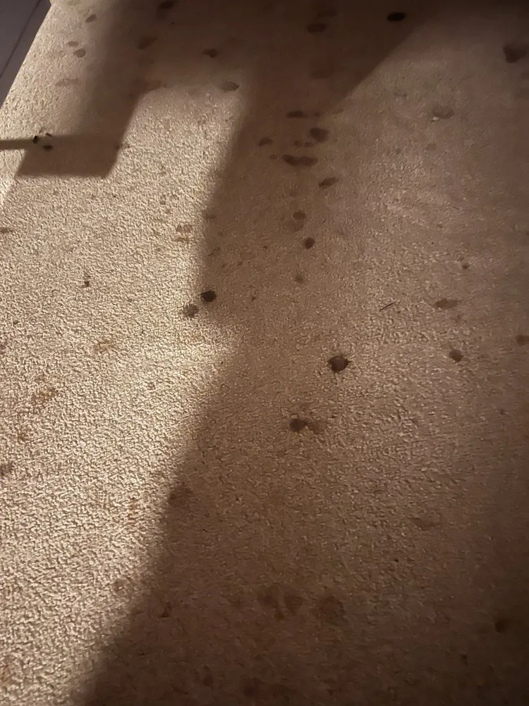 Slide of Kirkland Roofing