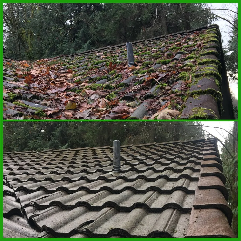 Slide of Kitsap Moss Removal