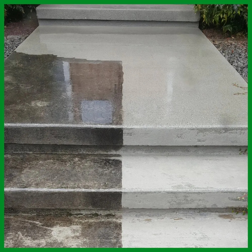 Slide of Kitsap Moss Removal