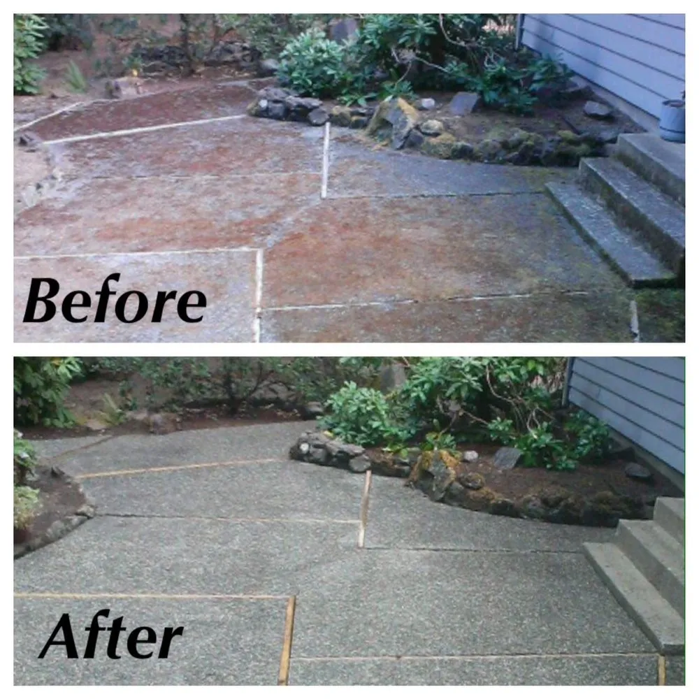 Slide of Kitsap Moss Removal