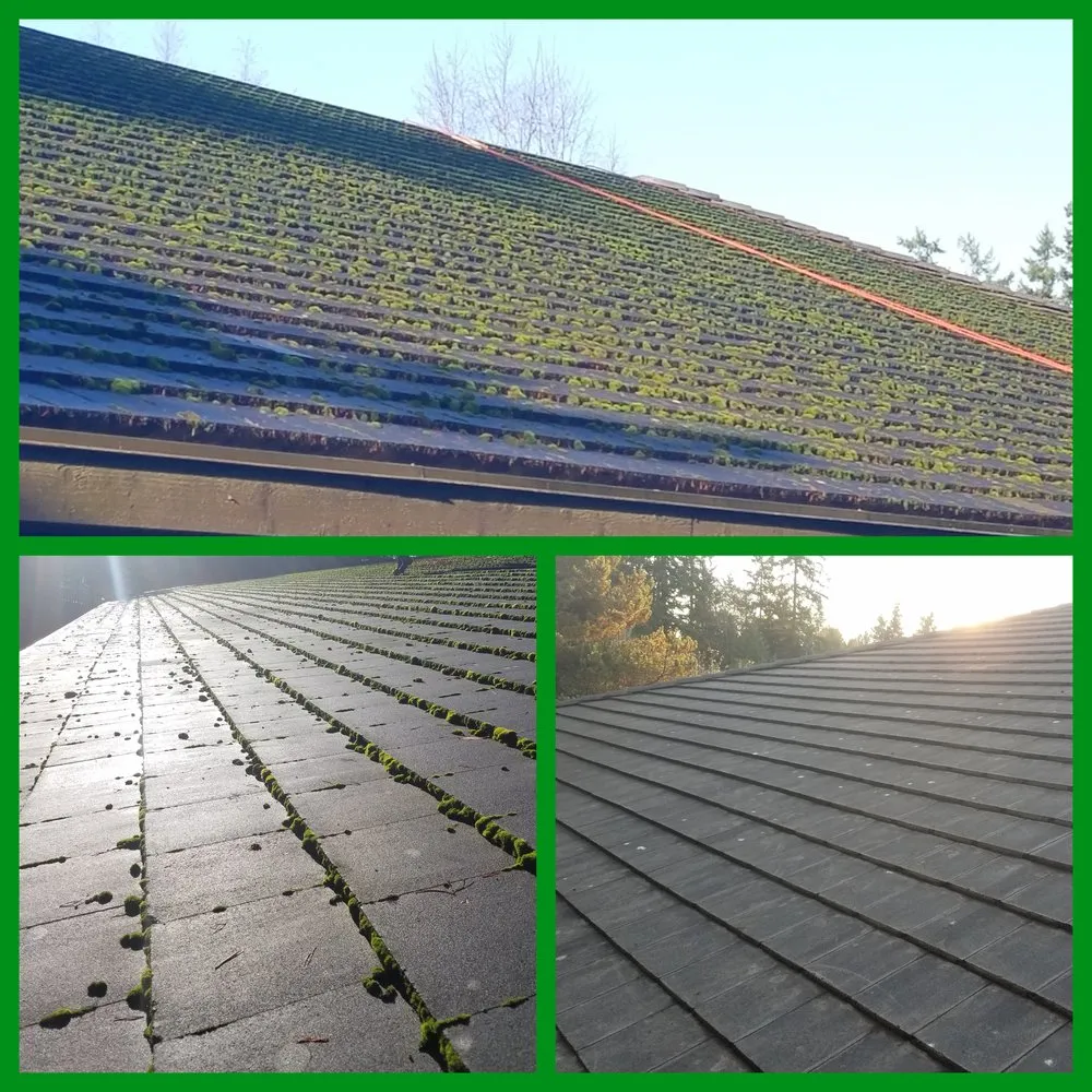 Slide of Kitsap Moss Removal