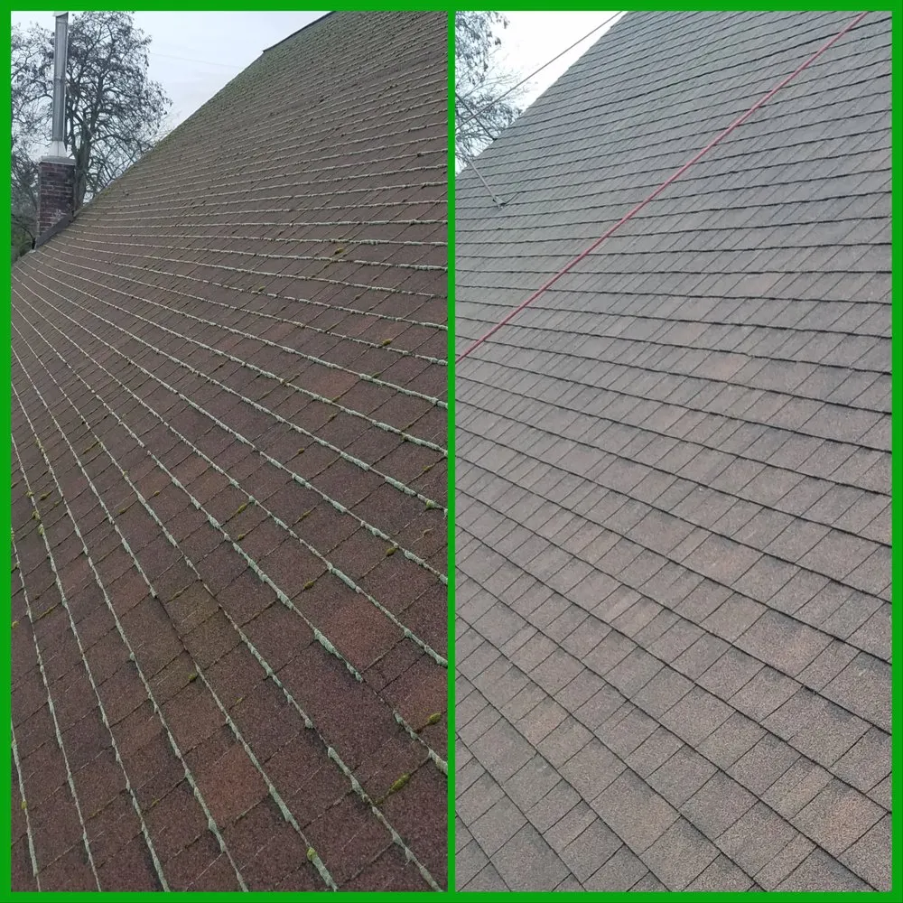 Slide of Kitsap Moss Removal