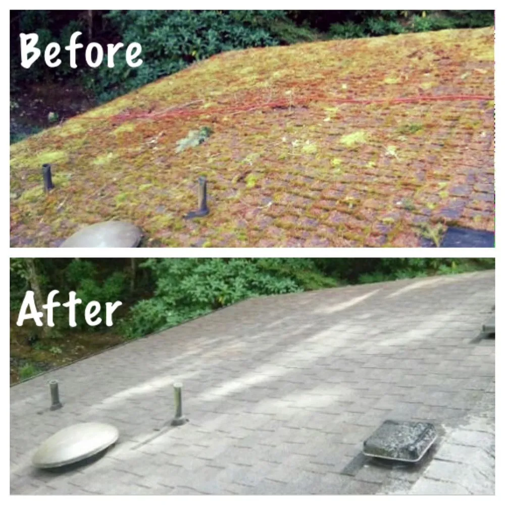 Slide of Kitsap Moss Removal