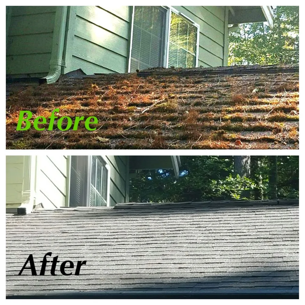 Slide of Kitsap Moss Removal