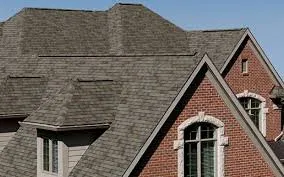 Slide of Klaus Roofing