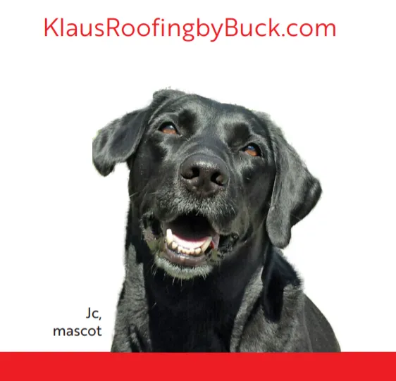 Slide of Klaus Roofing Systems by Buck Buckley