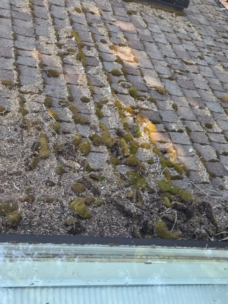 Slide of Knox Roofing