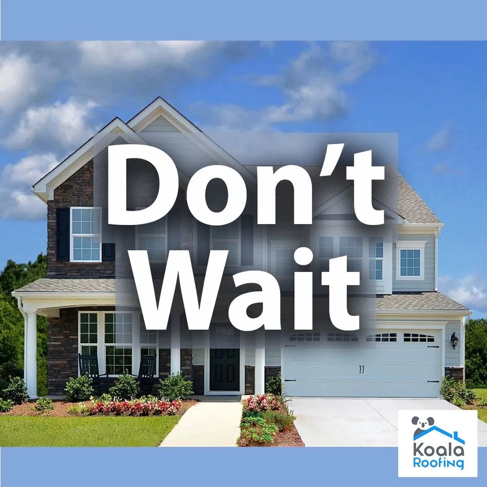 Slide of Koala Roofing