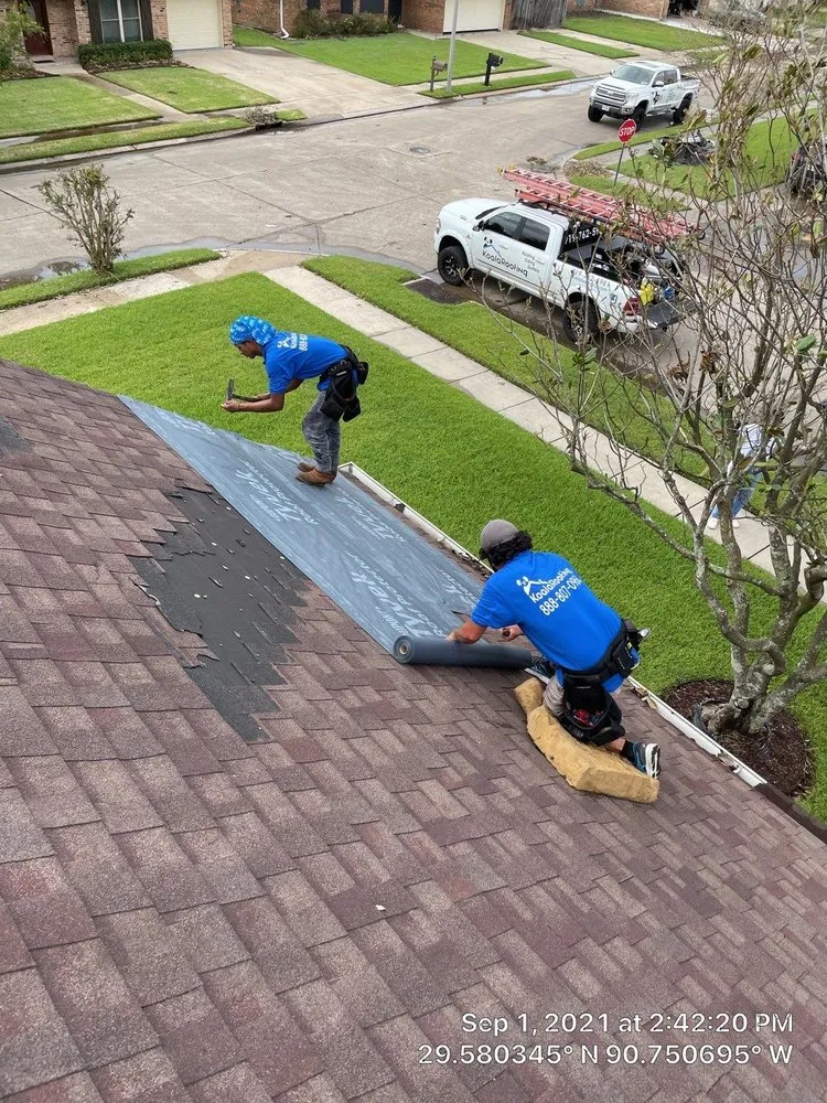 Slide of Koala Roofing