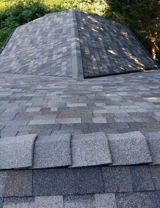 Slide of Koala-T Exteriors