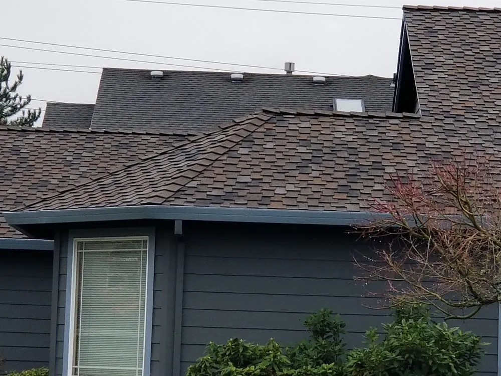 Slide of Koala-T Exteriors