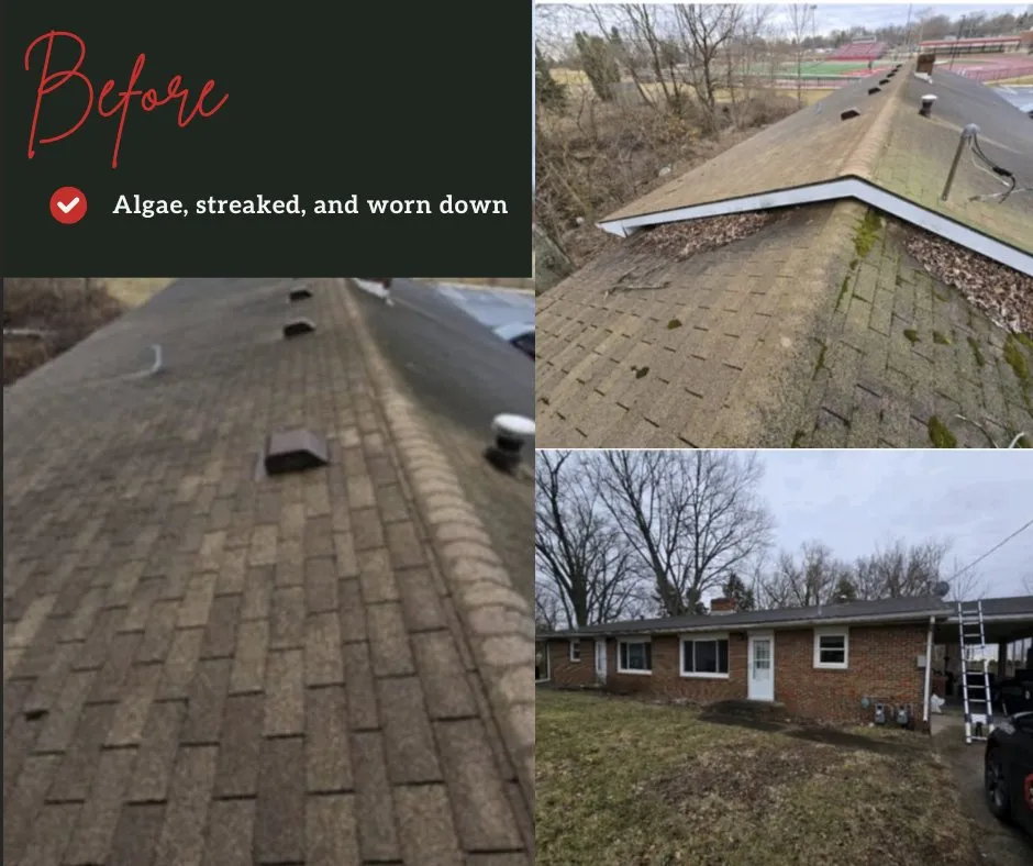 Slide of Koch Konstruction