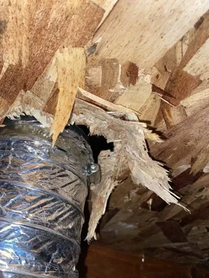 Kodiak Roofing Company Logo