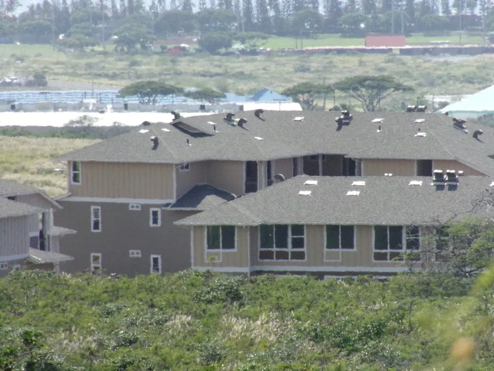 Emergency roof installation experts serving Kailua-Kona, HI - Kokua Roofing