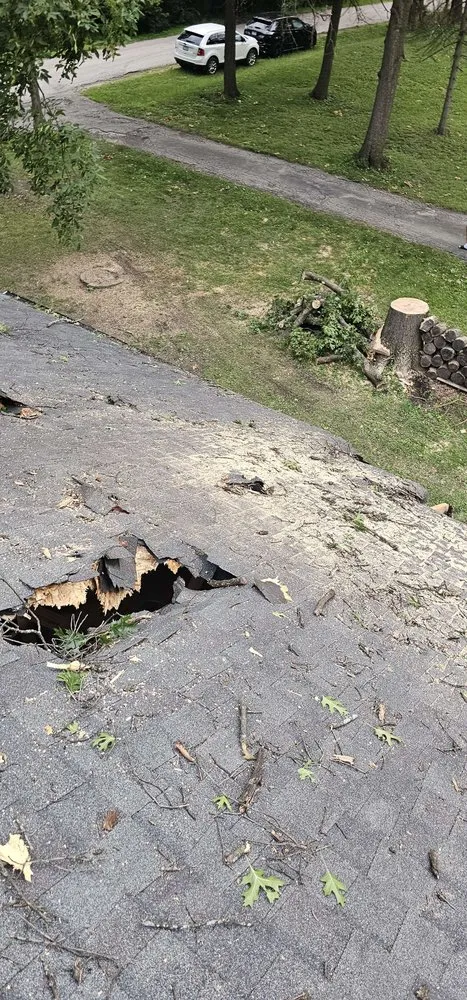 Slide of Kolony Restoration