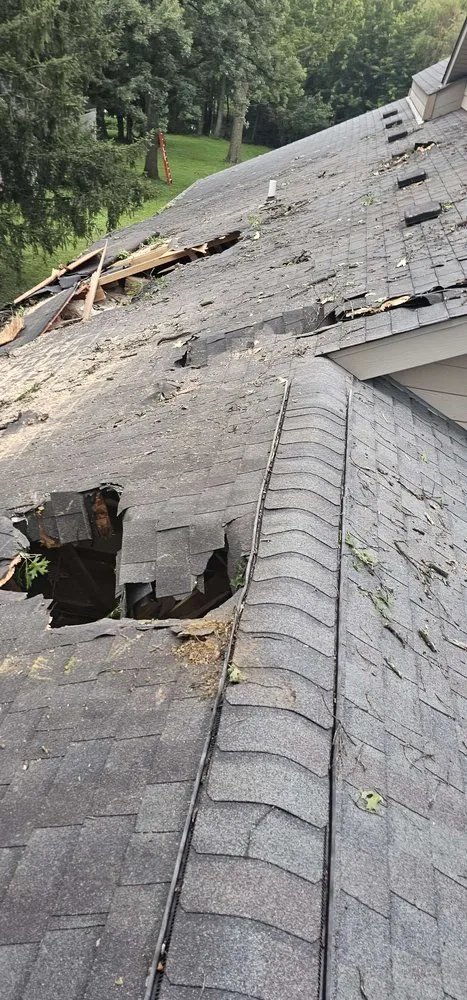 Slide of Kolony Restoration