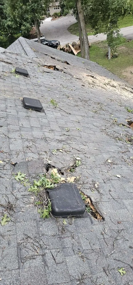 Slide of Kolony Restoration