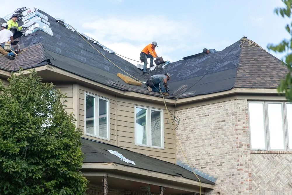 Slide of Kolony Restoration