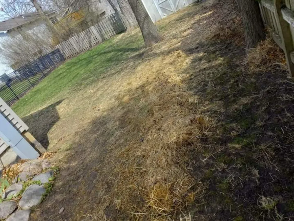 Slide of Kordecki Property Care