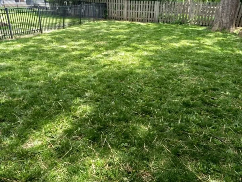 Slide of Kordecki Property Care