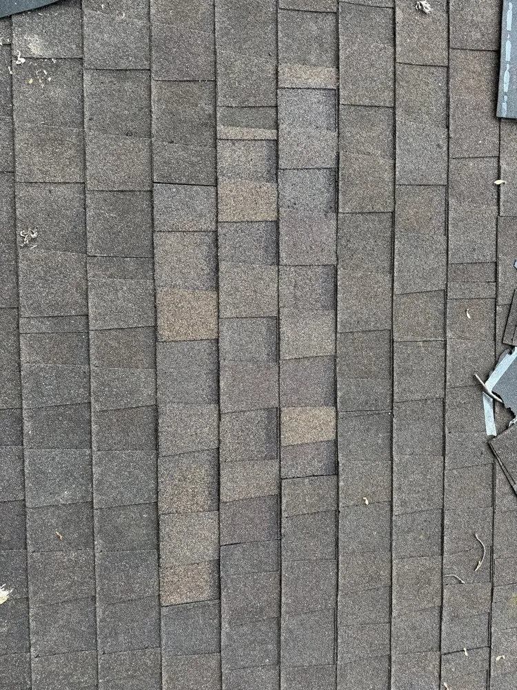 Slide of Koziar Group