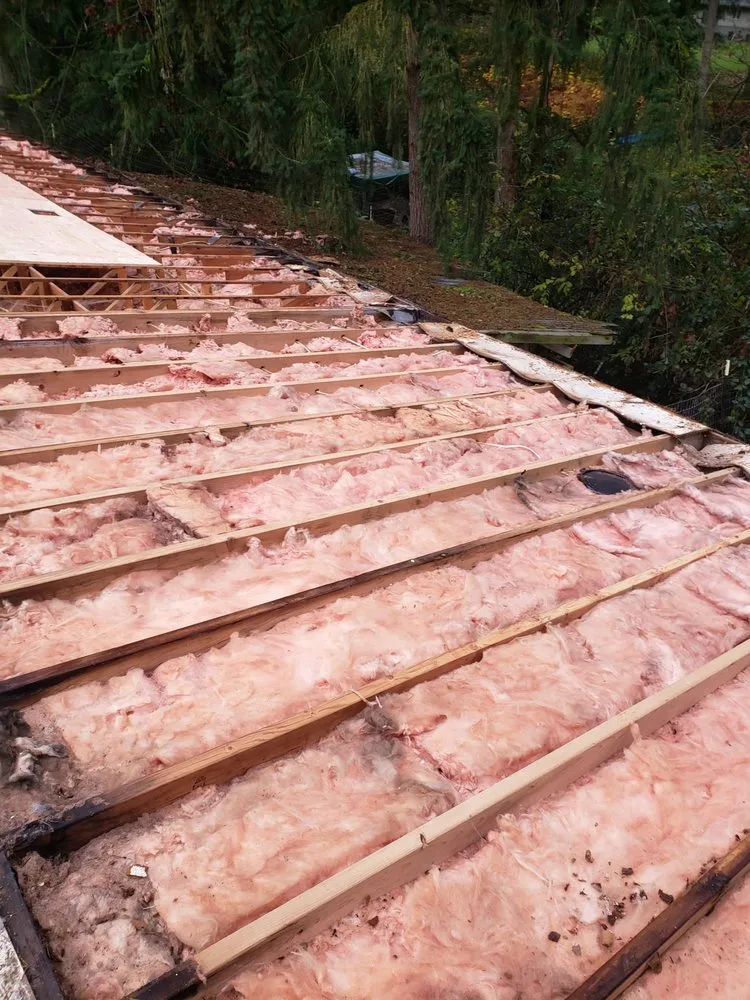 Slide of Kraken Exteriors