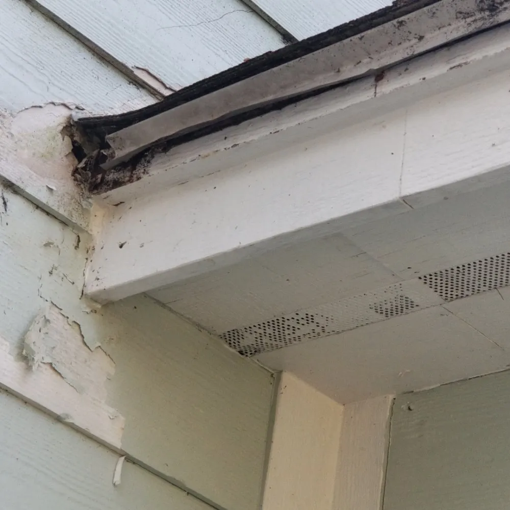 Slide of Kru's Outdoor Remedies