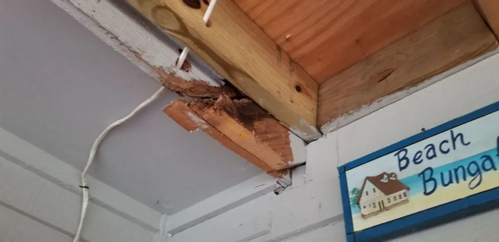 Slide of Kru's Outdoor Remedies