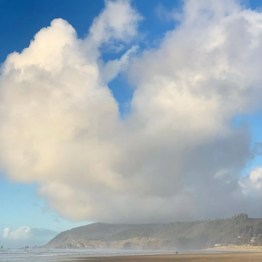 Slide of Kukui House Services, LLC