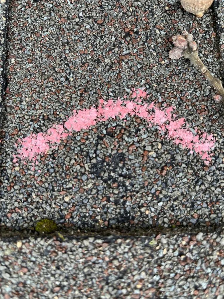 Slide of Kyle Forrest Mamba Roofing