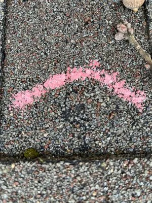 Kyle Forrest Mamba Roofing