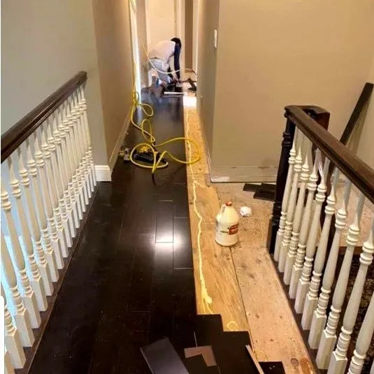 Slide of L Pro Painter & Carpenter