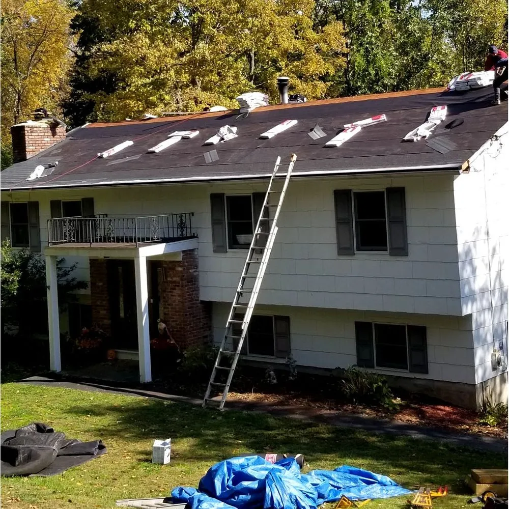 Slide of L Pro Painter & Carpenter