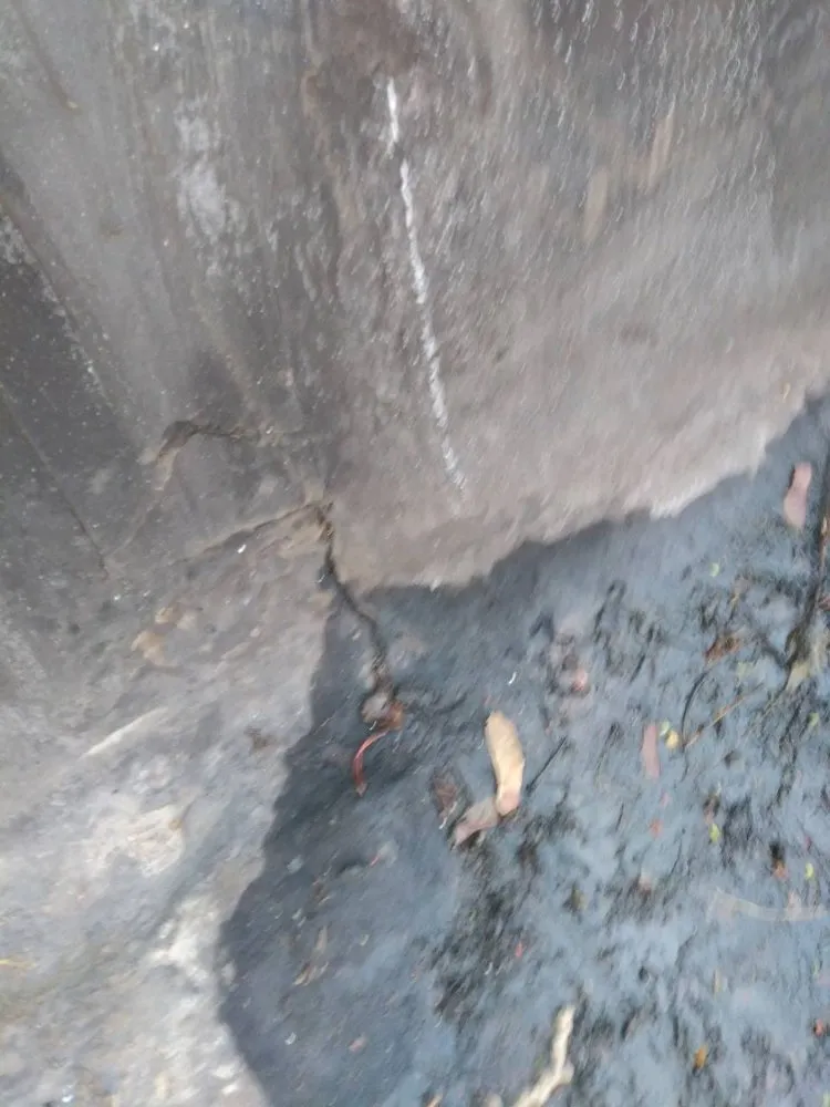 Slide of L S Construction